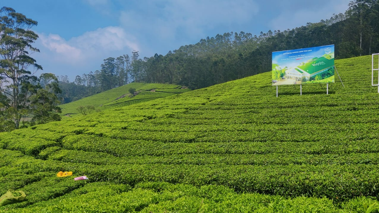 Munnar Tour | మున్నార్ టూర్‌కు ప్లాన్ చేస్తున్నారా.. కచ్చితమైన ప్లాన్ ఉంటే టెన్షన్ లేని జర్నీ..
